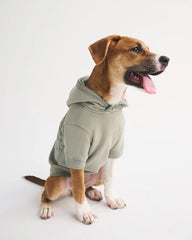 A&F Essential Pet Pupover